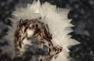 ​#（新华全媒+）微视界——立冬