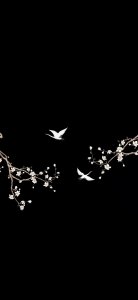 ​个性黑色系全屏壁纸