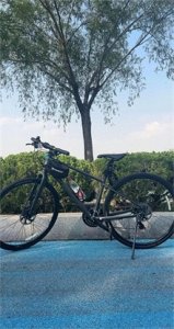 ​喜欢骑车的女孩都是向上的生命力