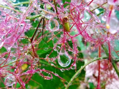 ​雨后的济南清晨