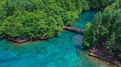 ​阿坝州九寨沟县今年已接待游客超220万人次