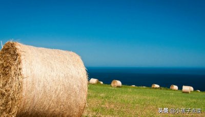 ​恭贺造句和解释_恭贺的例句有哪些 - 小孩子点读