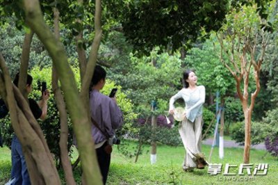 ​组图丨人间最美四月天，不负春光与时行